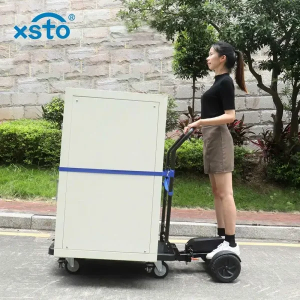 Scooter con plataforma motorizada ET300P2 - Imagen 3