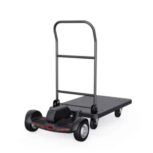 Scooter con plataforma motorizada ET300P2